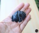 Aztec Warriors, Aztec face, Aztec heads, Mayan Warriors, Mayan Jade, Jade pendant, carved stones, sacred stone, Carved stone pendant.