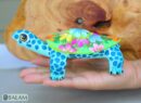 Turtle alebrije, Tortuga alebrije, Tortoise Alebrije from Oaxaca, animal alebrije, Copal wood sculpture, Wood Art, Alebrije art