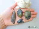 Ceremonial Jade Pendants, Mayan Jade, carved stone pendant, Jade necklaces, Aztec necklace, Mayan Pendant, LOT of Pendants. Read description