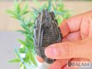 Golden sheen Black Obsidian, Teotihuacan pendant, Ceremonial Obsidian Pendants, Faces of deities. Read description