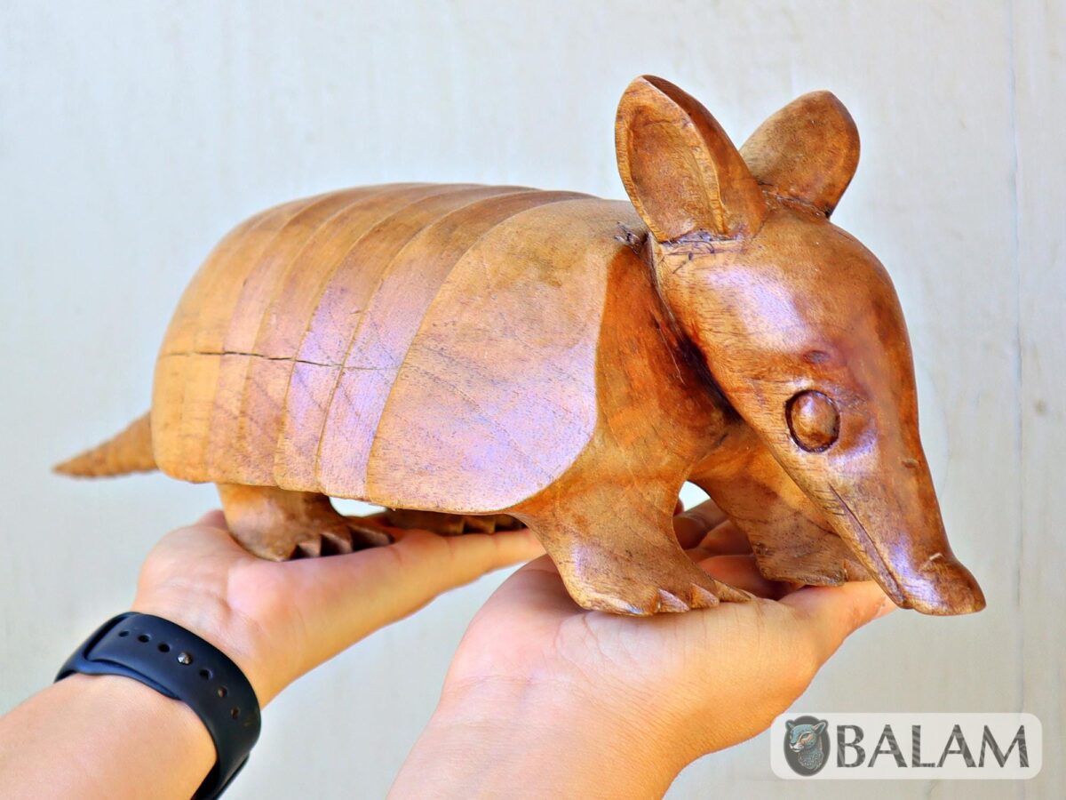 Cedar wood sculpture, Amazing Armadillo, Armadillo from Yucatan, Mexico, Armadillo of Cedar, Armadillo sculpture, Wooden art. - Image 4