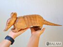Cedar wood sculpture, Amazing Armadillo, Armadillo from Yucatan, Mexico, Armadillo of Cedar, Armadillo sculpture, Wooden art.