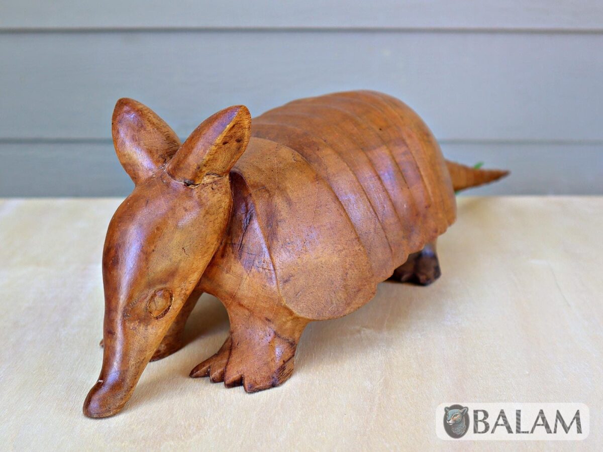 Cedar wood sculpture, Amazing Armadillo, Armadillo from Yucatan, Mexico, Armadillo of Cedar, Armadillo sculpture, Wooden art.