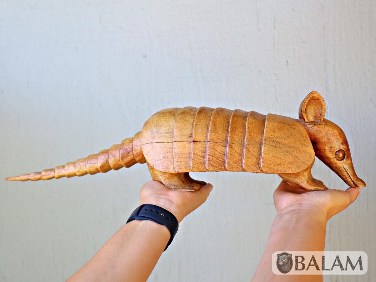 Cedar wood sculpture, Amazing Armadillo, Armadillo from Yucatan, Mexico, Armadillo of Cedar, Armadillo sculpture, Wooden art. - Image 3