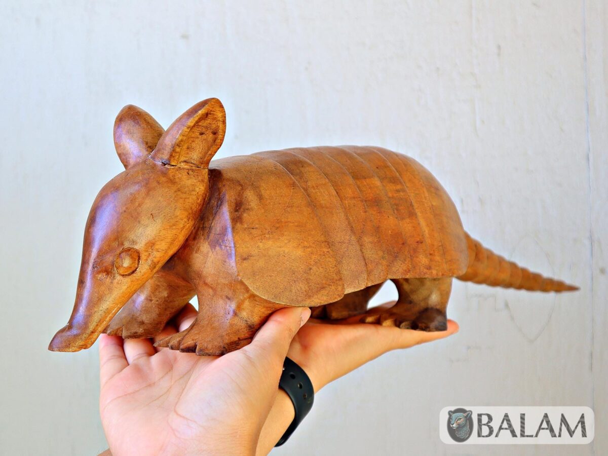 Cedar wood sculpture, Amazing Armadillo, Armadillo from Yucatan, Mexico, Armadillo of Cedar, Armadillo sculpture, Wooden art. - Image 5